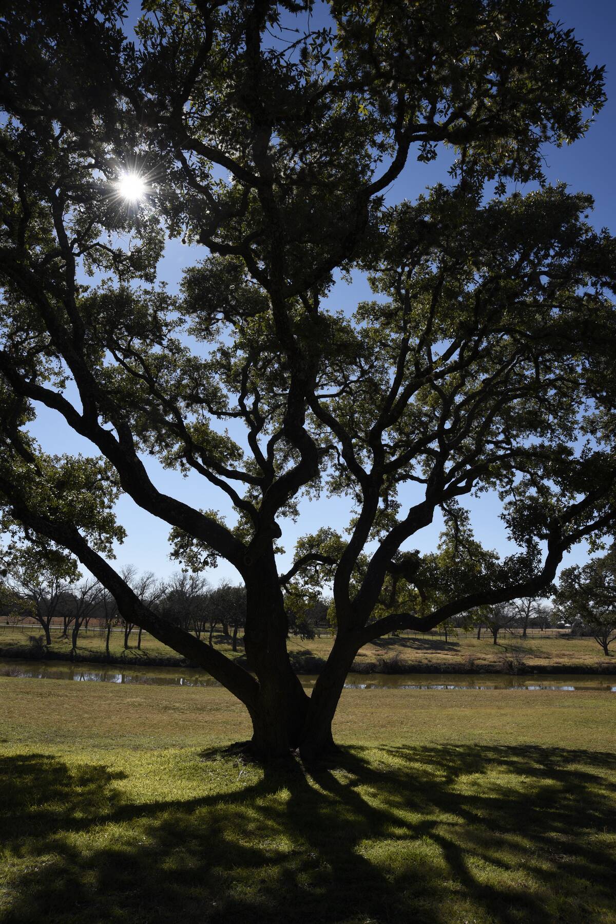 Lyndon B. Johnson National Historic Park