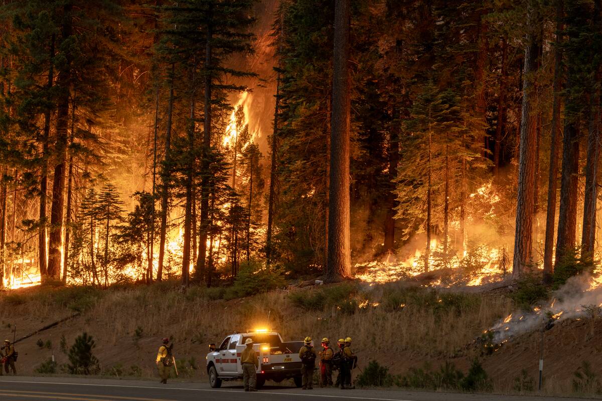 Park Fire Burns Thousands Of Acres In Northern California After Man Charged With Arson