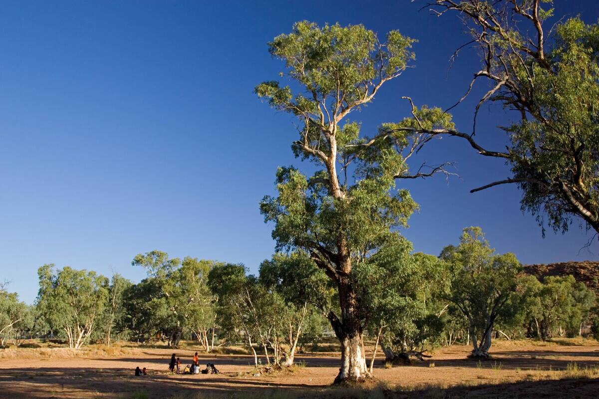 Picnicing In Dried Up Todd River, Australia