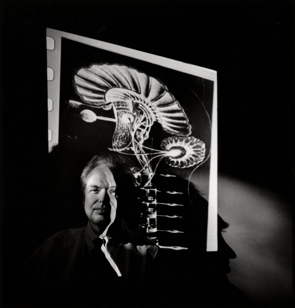 Portrait Of Dr. William Mobley