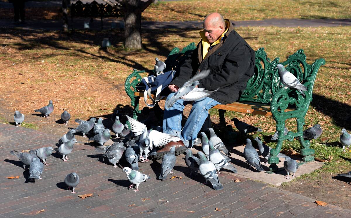 Southwest USA scenics
