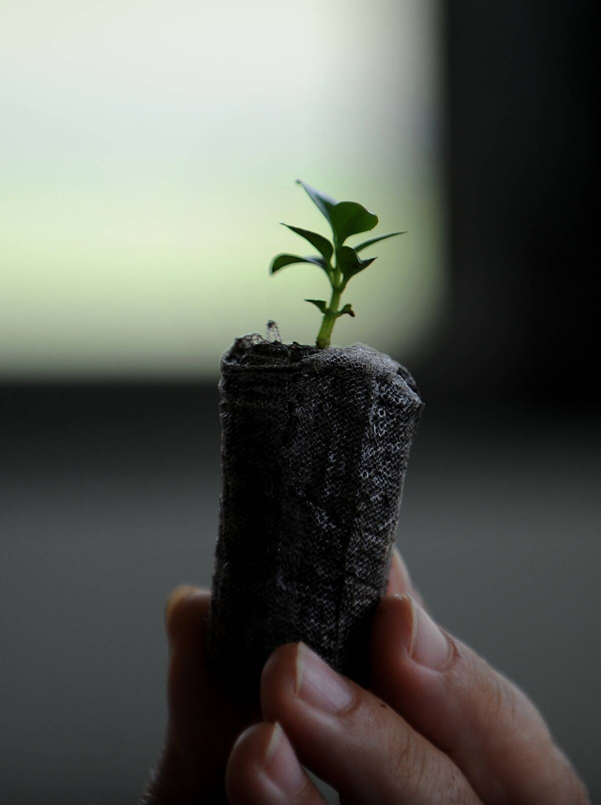 TO GO WITH AFP STORY BY FRANCISCO JARA A
