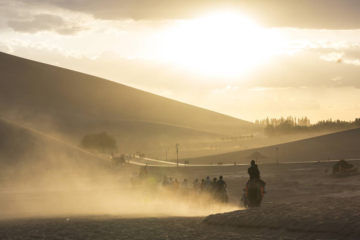 Tourists rides on camels, walking on the desert. The