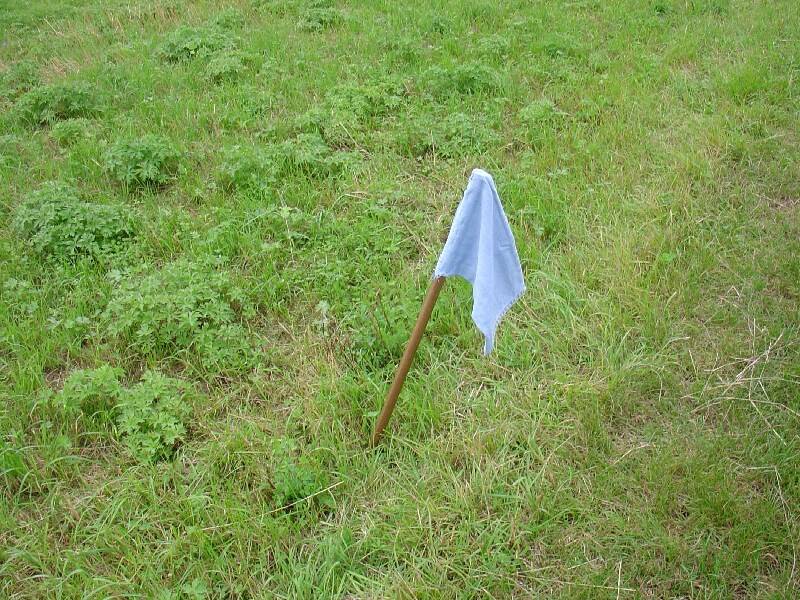 Capture_the_flag_Fahne