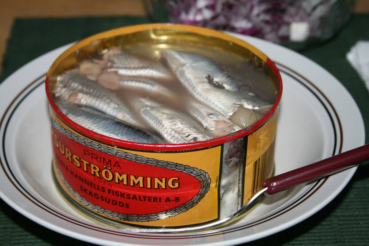 Serving_Surströmming
