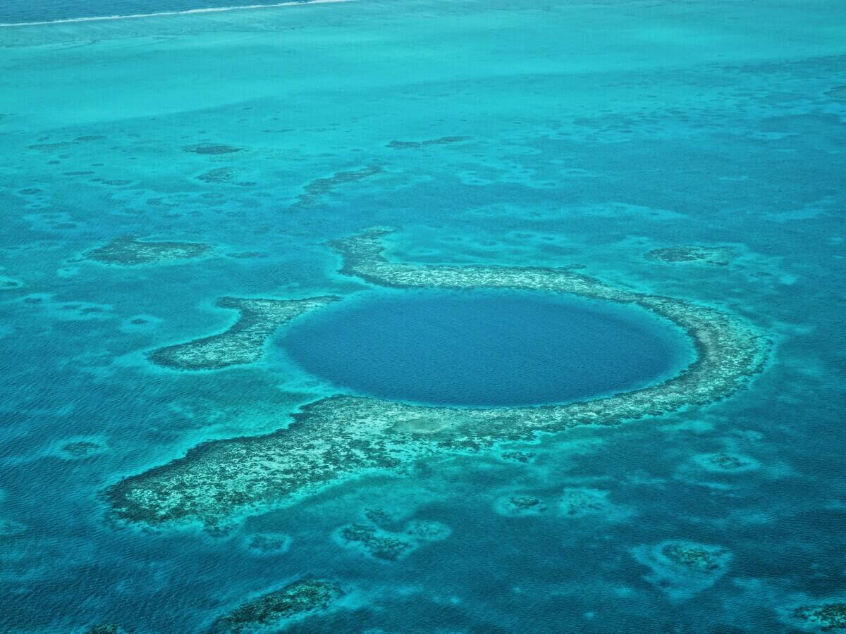 agnes-lee-2SIegvrtKzI-unsplash