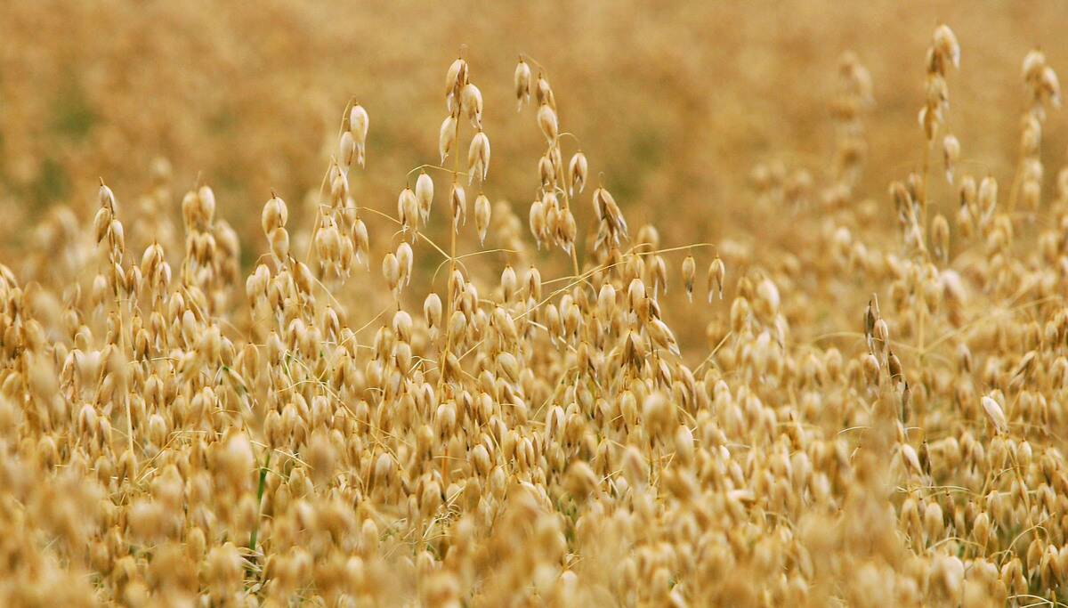 Agriculture Dominates Debate Over EU Funding