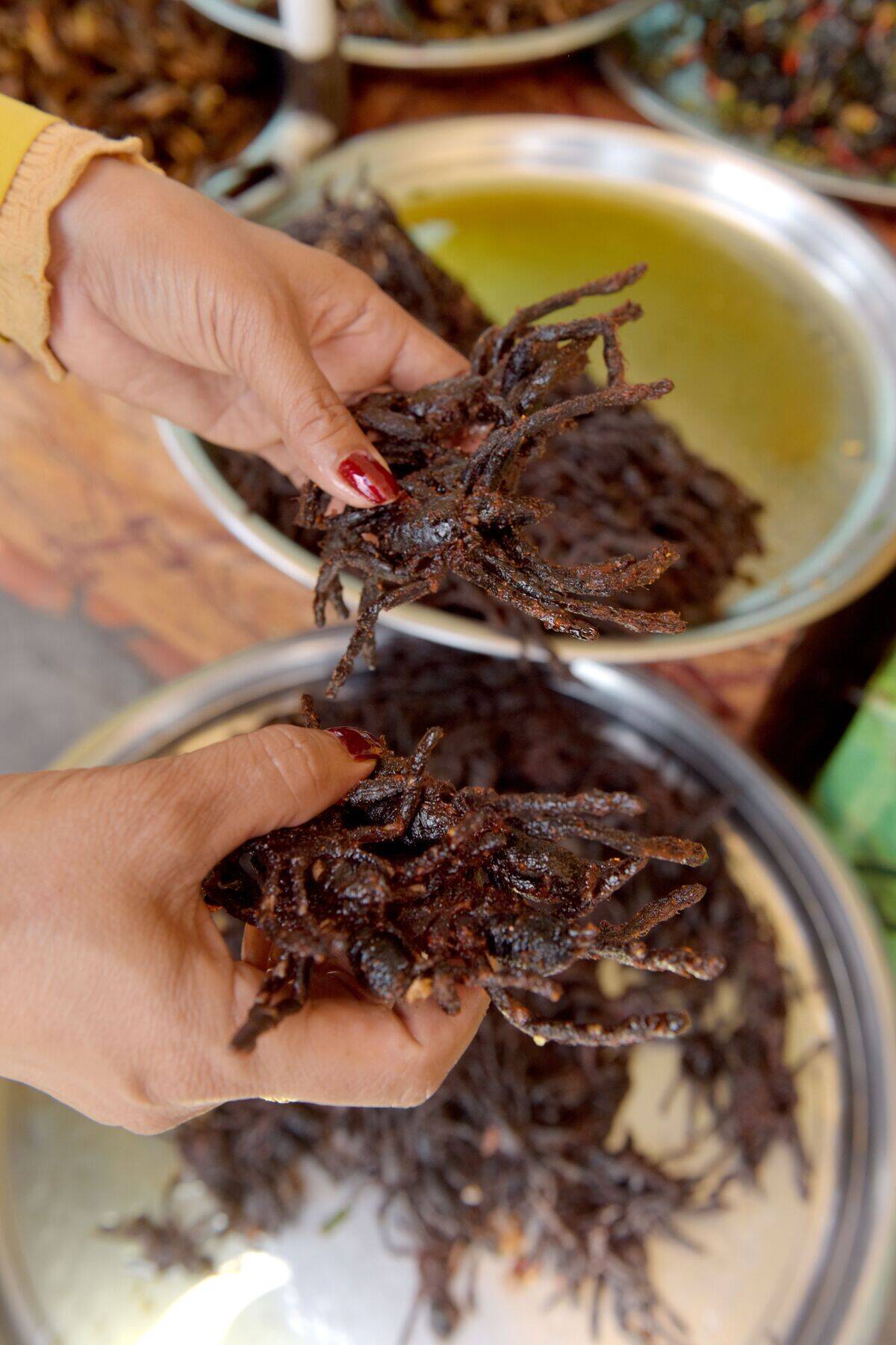 CAMBODIA-LIFESTYLE-TARANTULAS-TOURISM-ENVIRONMENT-FOOD