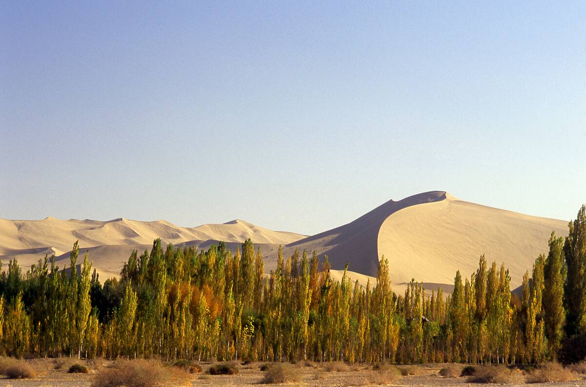 China: The singing sand dunes of Mingsha Shan (Mingsha Hills) in the Kumtagh Desert, Gansu Province