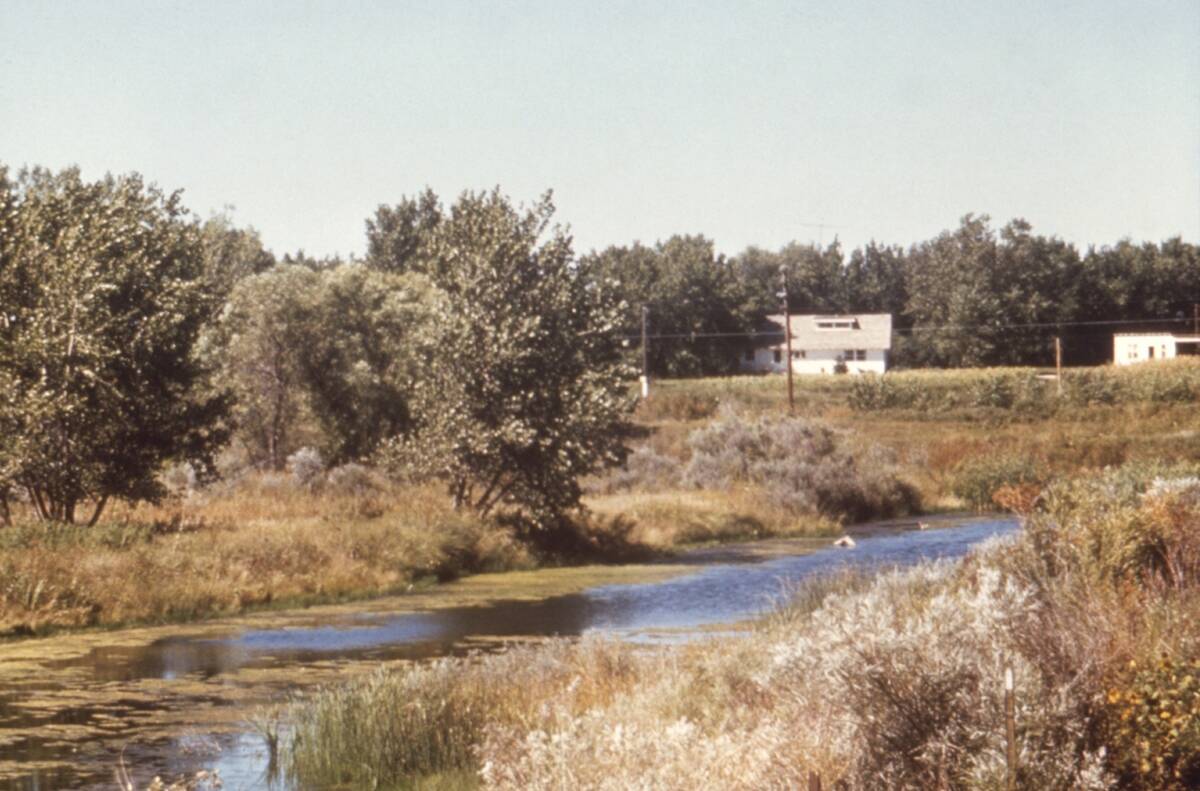 Colorado Narrows River Bend
