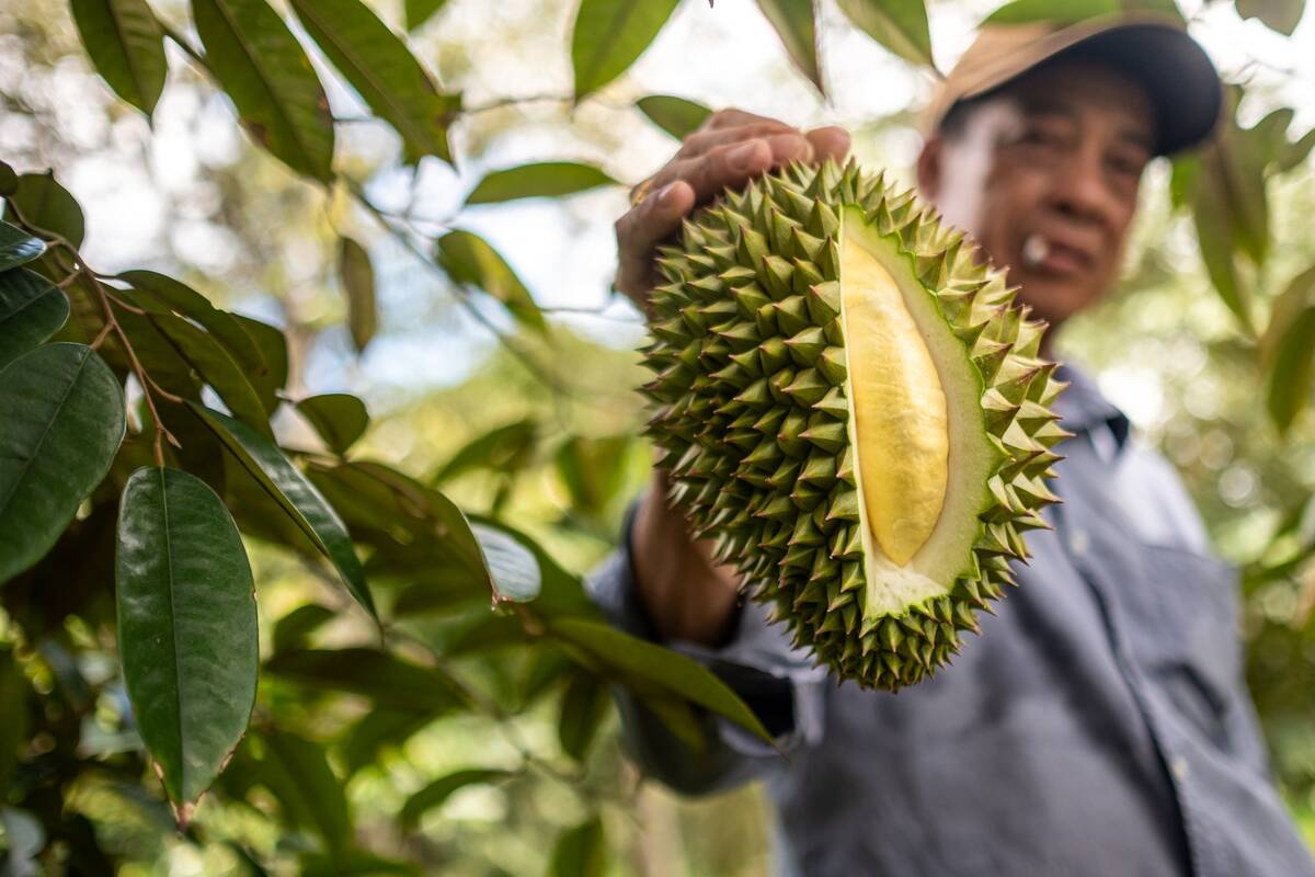 Farms in Vietnam's Mekong Delta as Premier Asks Ministries to Curb Salinity Impact on Agriculture
