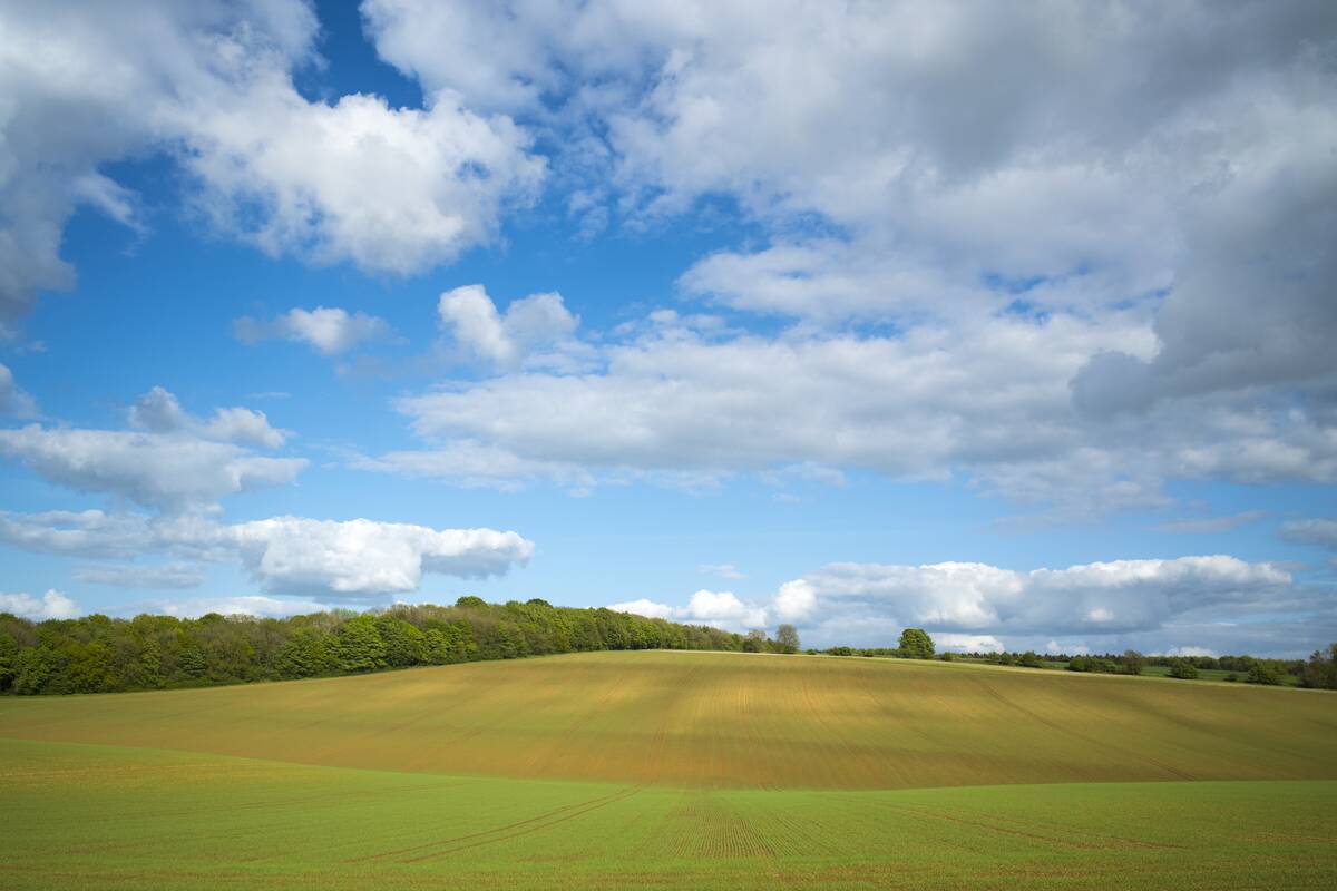 Field Colours in The Cotswolds, UK