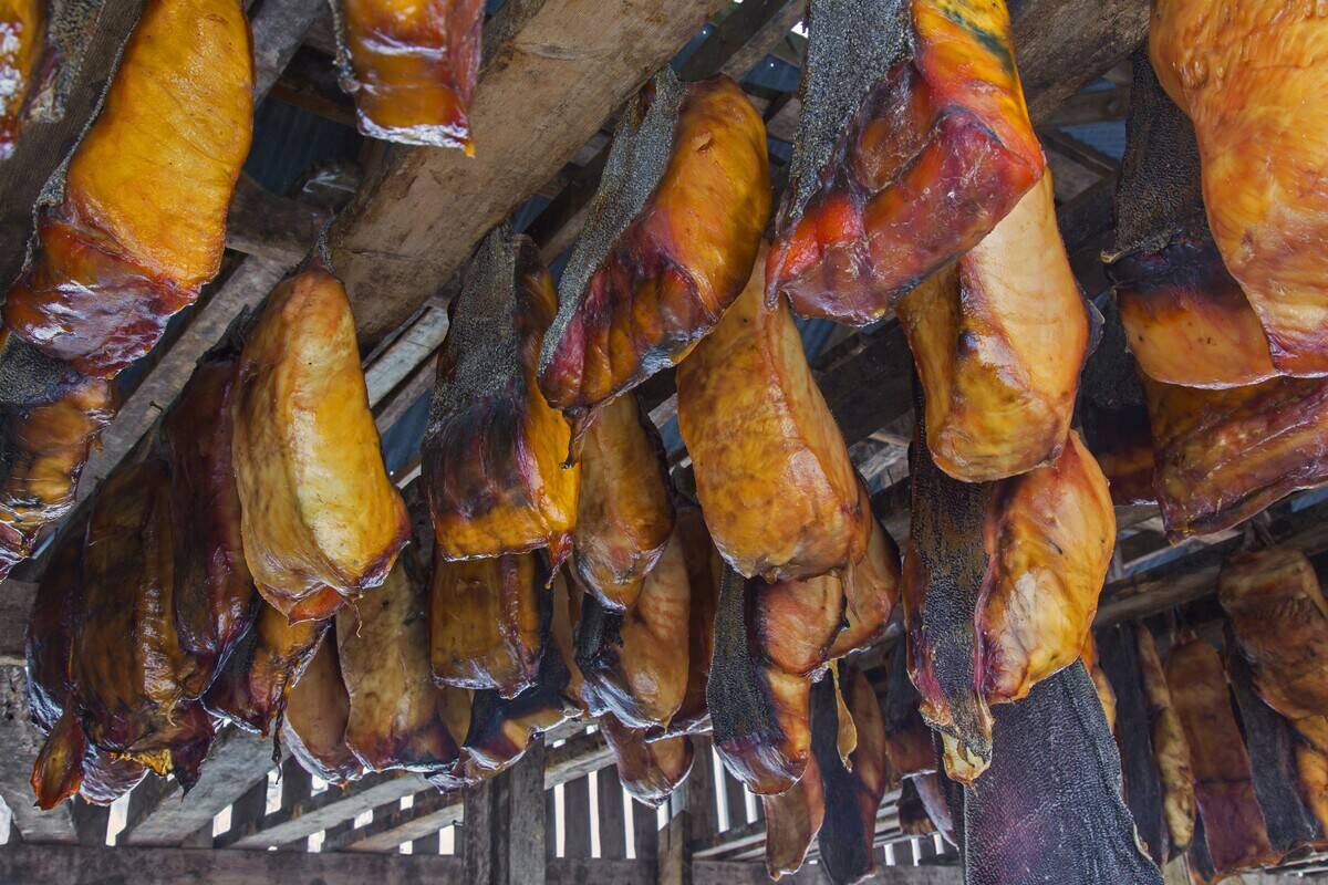 Hákarl, national dish of fermented Greenland shark (Somniosus microcephalus), rotten meat hanging to dry in open air shed at Snaefellsnes, Iceland