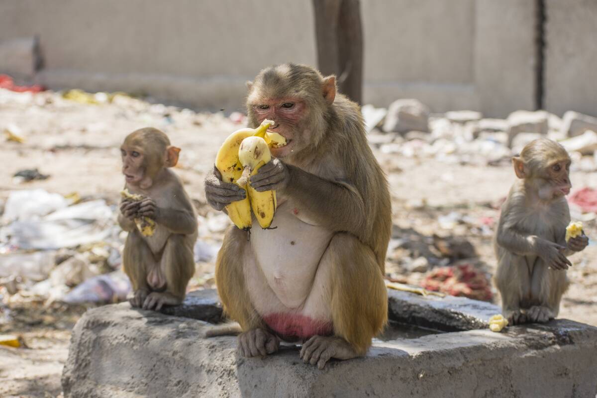 India Imposes Nationwide Lockdown To Contain The Coronavirus Pandemic
