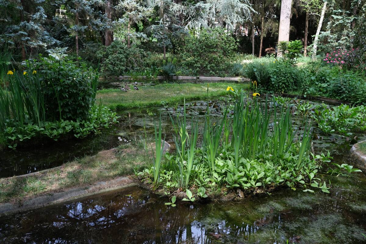 Les Jardins Albert Kahn