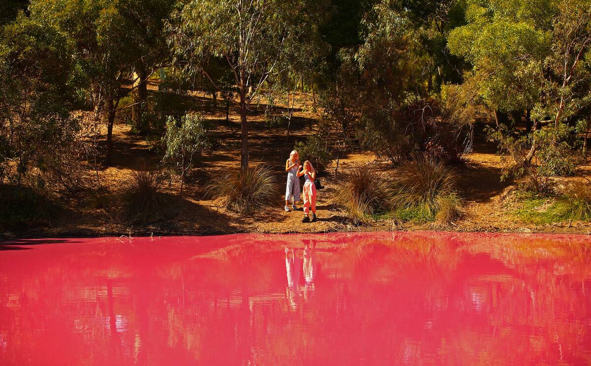 Melbourne's Westgate Park Lake Turns Pink