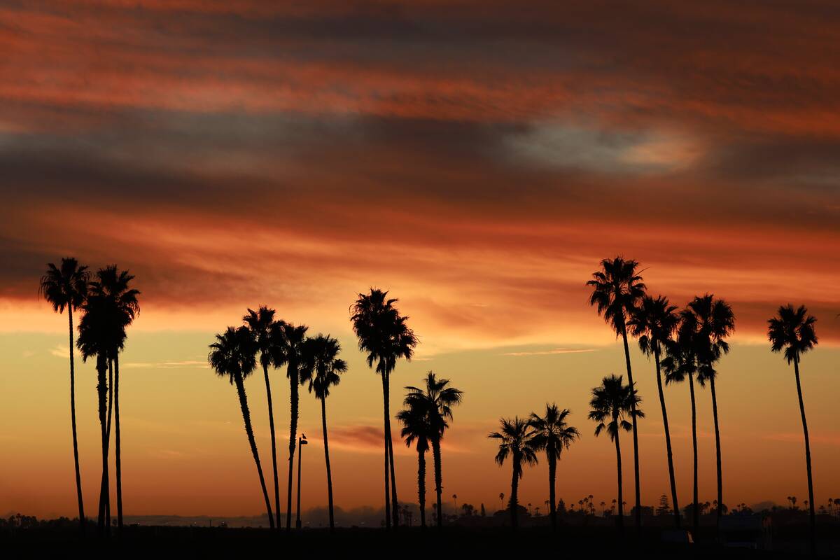 Mission Bay San Diego Sunset
