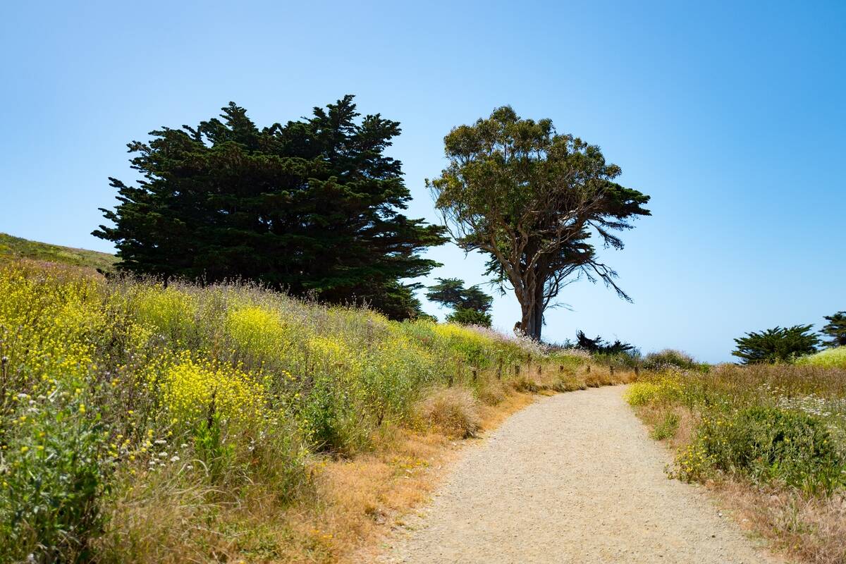 Mori Point