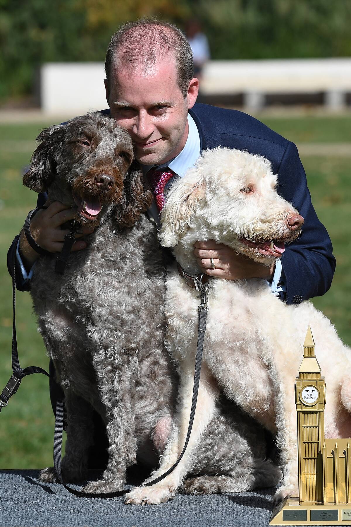 MPs Enter Their Pets Into The Westminster Dog Of the Year Competition