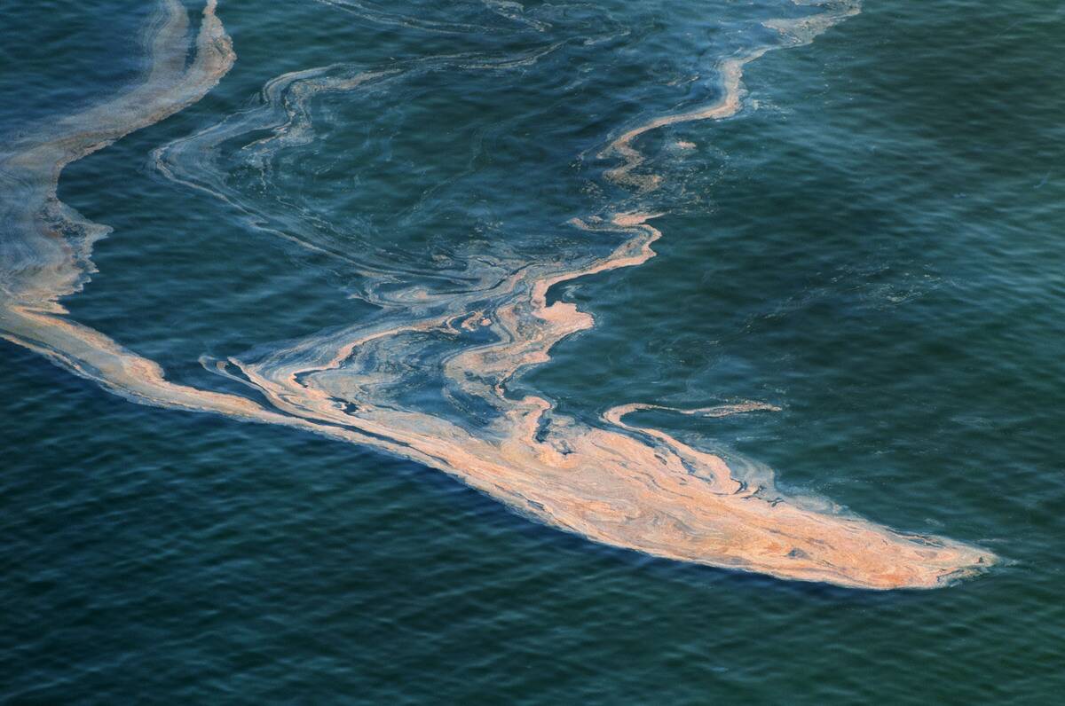 Oil Reaches Alabama Shores