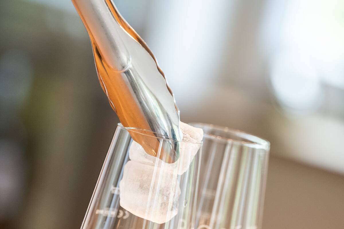 Photo session: Grape harvest and wine-based mixed drinks