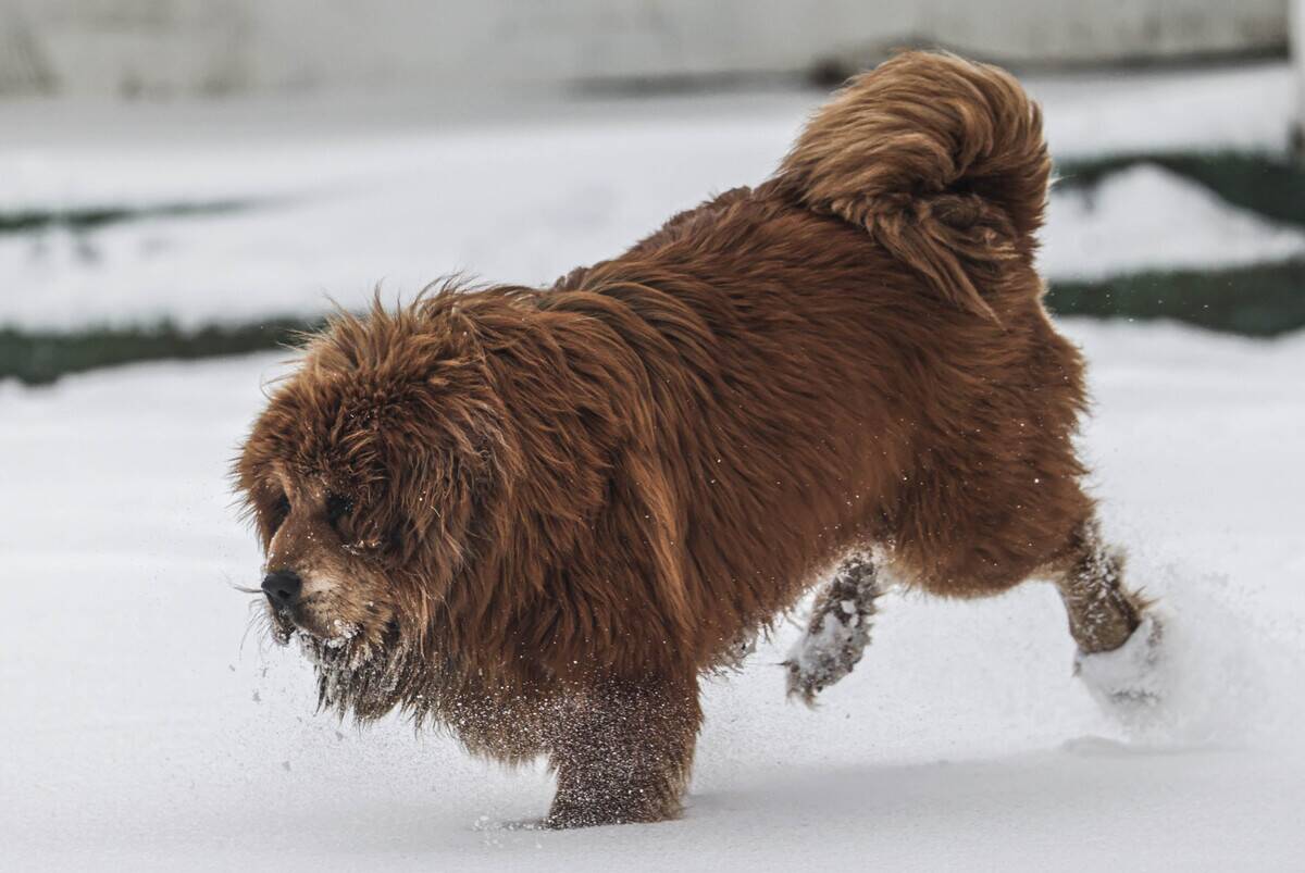 Snowy weather in Turkish capital
