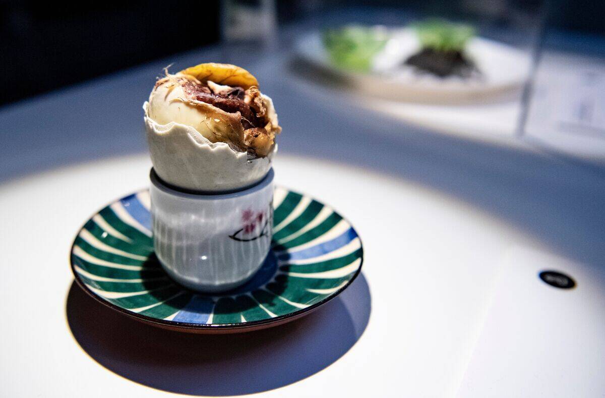 SWEDEN-SOCIETY-OFFBEAT-DISGUSTING-FOOD-MUSEUM