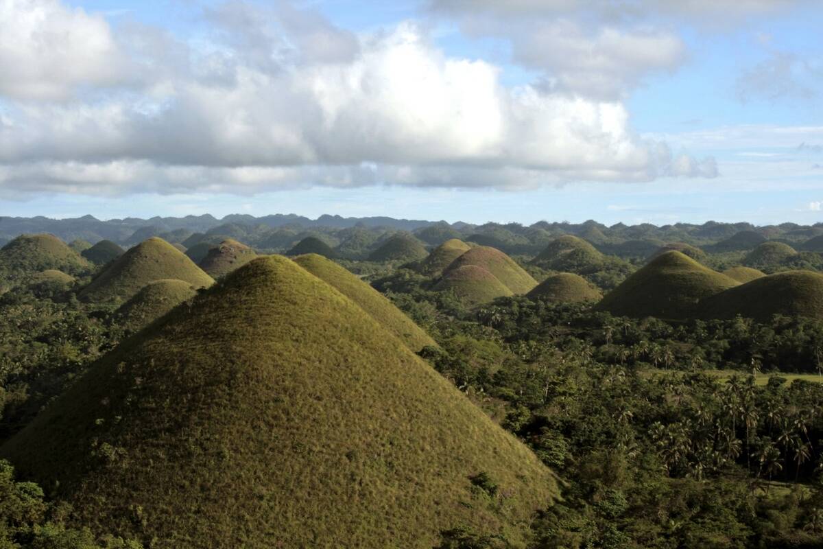 The Chocolate Hills on Bohol are named after their chocolate