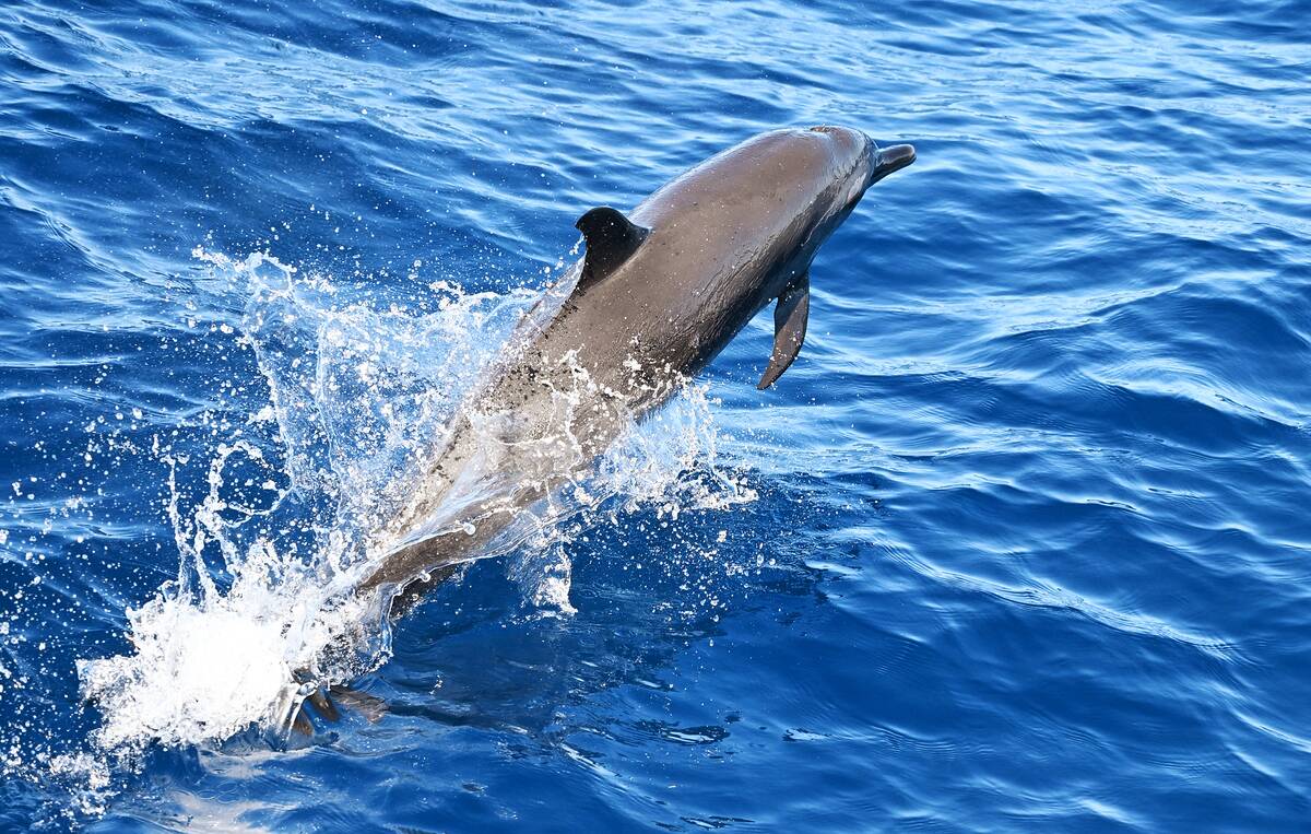 TOPSHOT-MEXICO-CUBA-AID