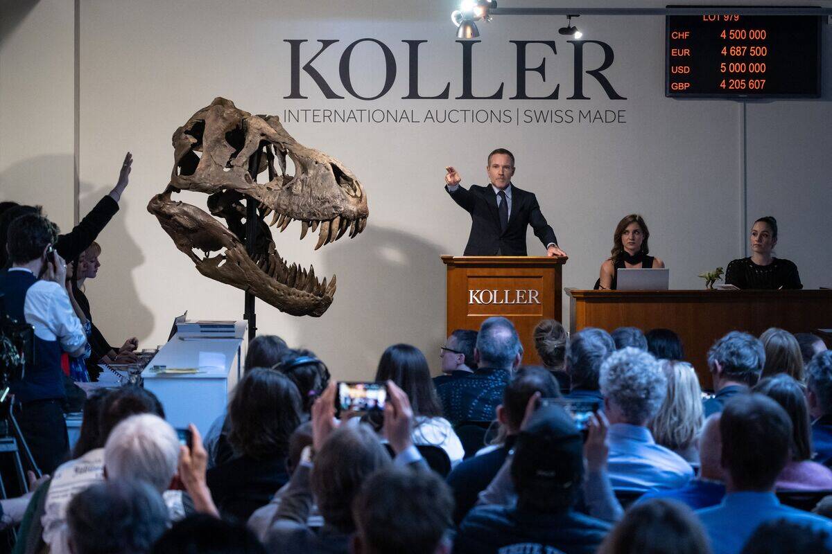 TOPSHOT-SWITZERLAND-PALAEONTOLOGY-AUCTION-TREX