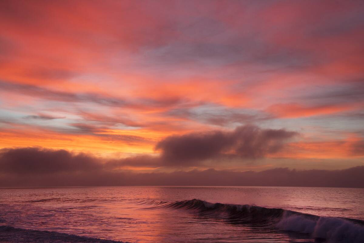 Wedding Shower For Lisa Rinna