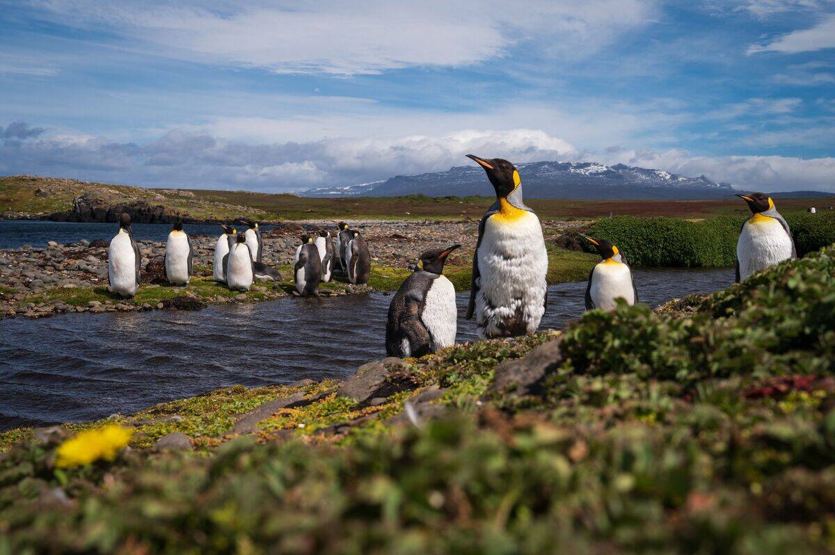 FRANCE-OVERSEAS-TAAF-ANTARCTICA