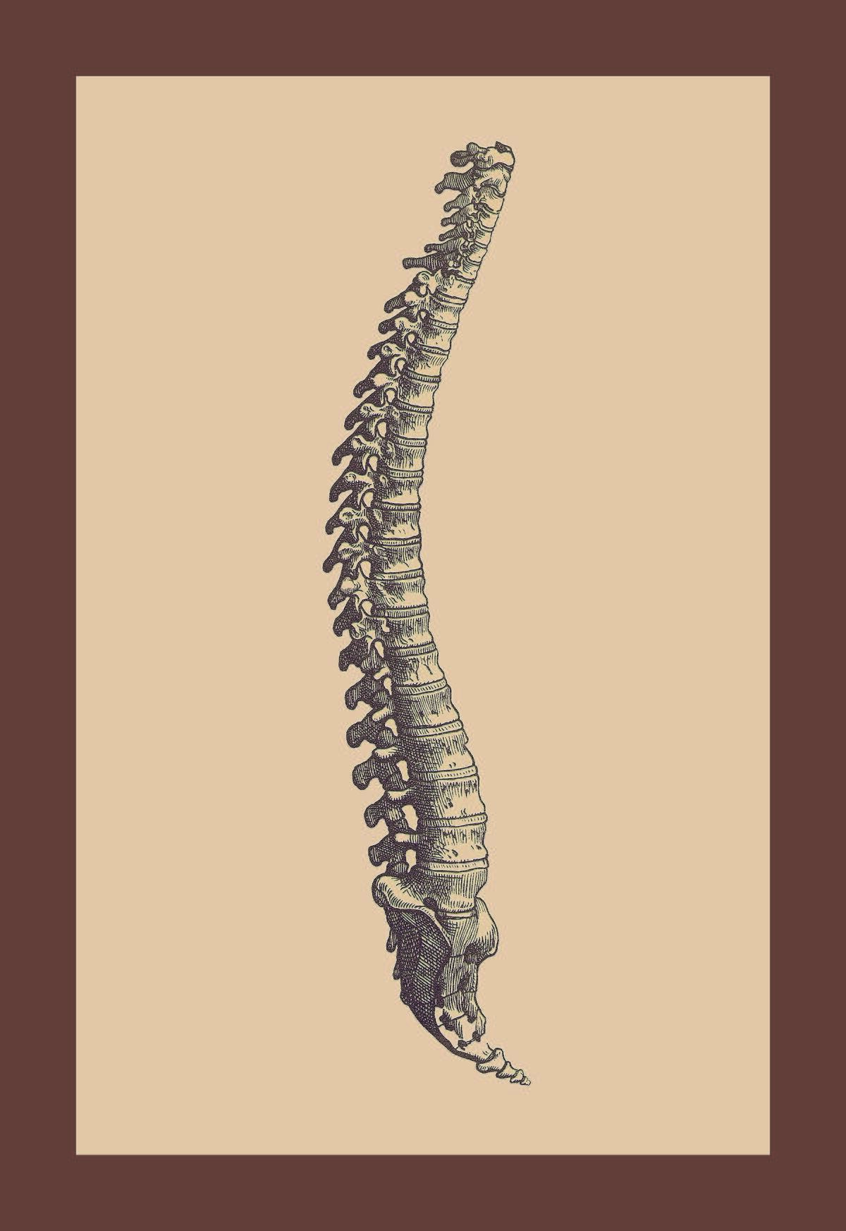 Backbone