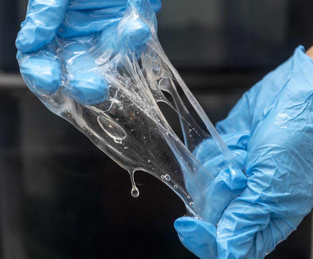 Keck Center Researchers at Chapman University