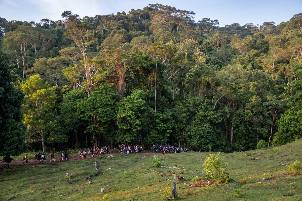 Mostly Haitian Migrants Cross Treacherous Darien Gap En Route To U.S. Border