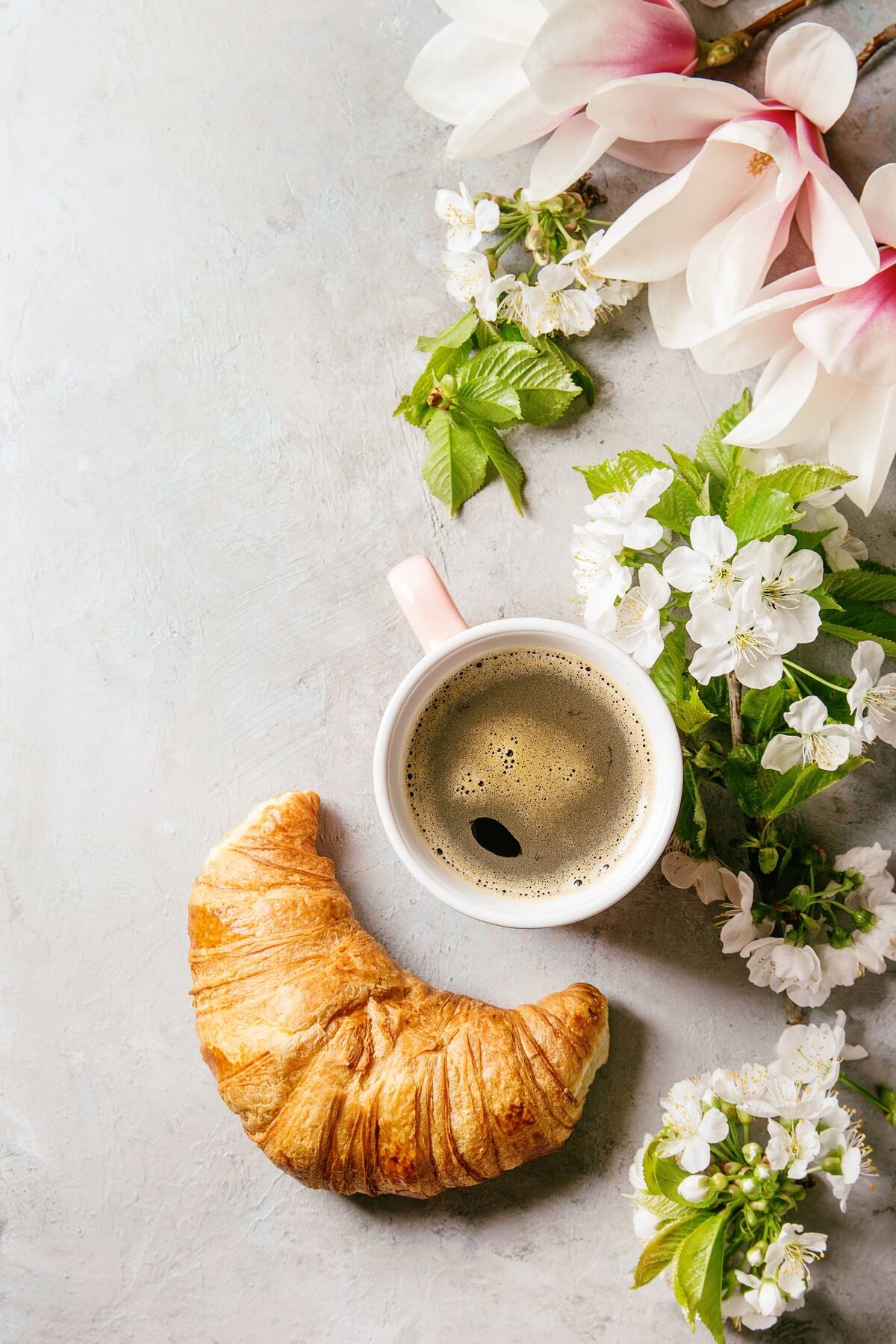 Pink mug of black espresso coffee, french croissant, cream and spring flowers magnolia, blooming cherry branches over grey texture background Top view, space Spring greeting card, Toned image